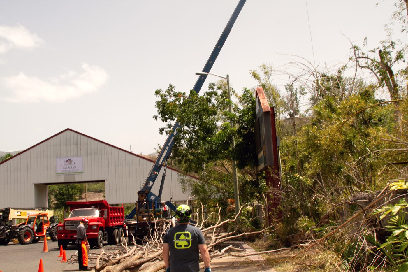 A crane boom lifting a cut section of tree over a work site with cones and a chip truck staged below.